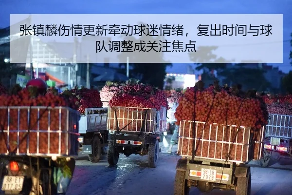 张镇麟伤情更新牵动球迷情绪，复出时间与球队调整成关注焦点 - 新闻资讯焦点报道封面图