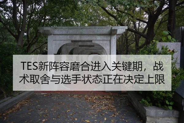 xin-zhen-rong-mo-he-jin-ru-guan-jian-qi-zhan-shu-qu-she-yu-xuan-shou-zhuang-tai-zheng-zai-jue-ding-shang-xian-2-595.jpg